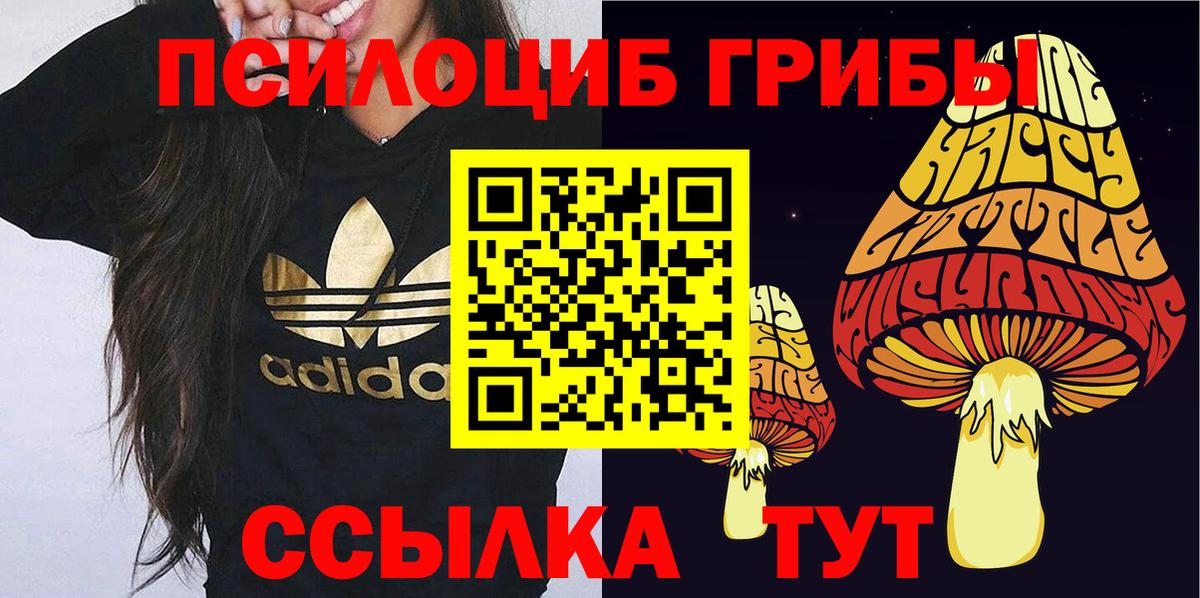 Галлюциногенные грибы мухоморы  Псилоцибиновые грибы мухоморы  Вход с VPN  Электросталь 
