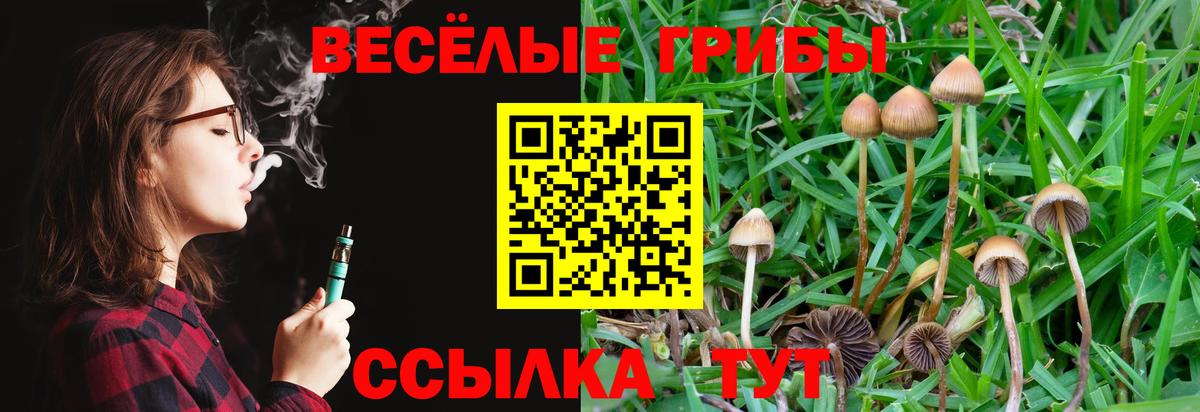 Псилоцибиновые грибы Magic Shrooms Электросталь